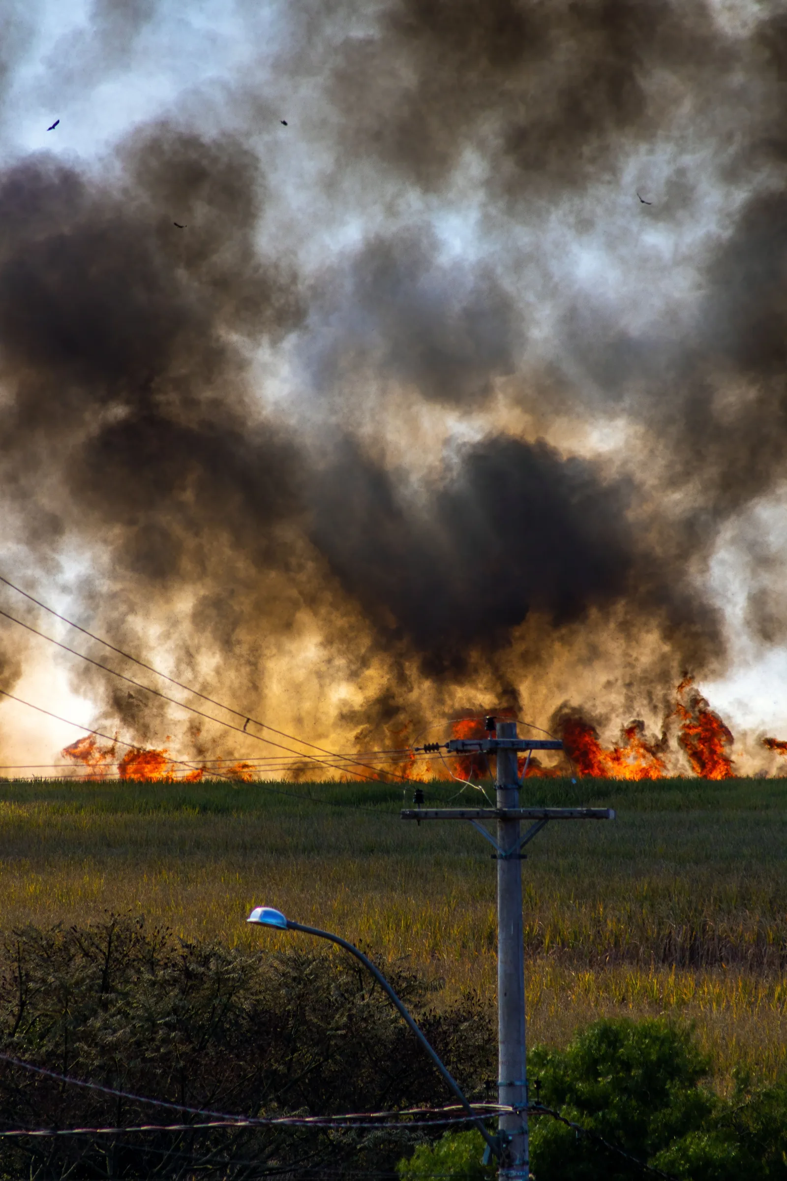 Controlan incendio en subestación El Manzano, en Barquisimeto
