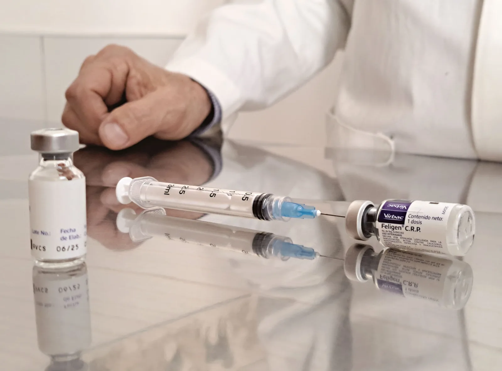 Un veterinario en un entorno clínico prepara jeringas y frascos de vacuna sobre una superficie reflectante.