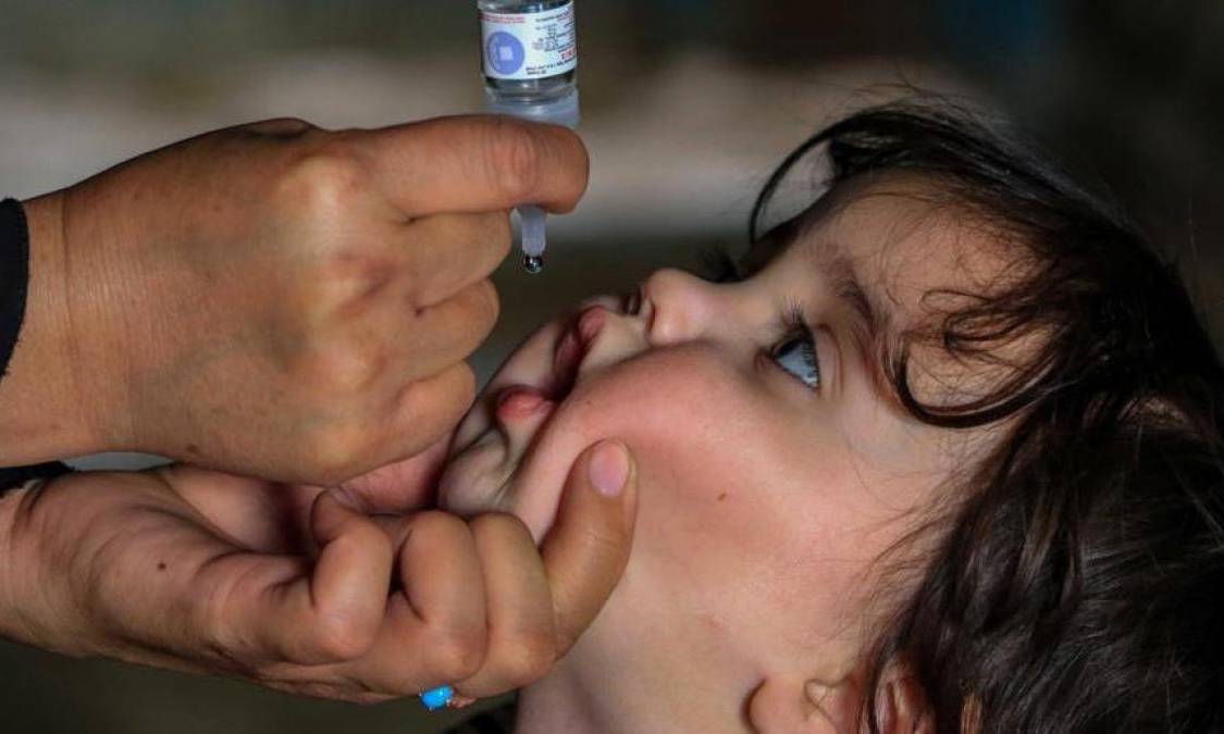 Solicitan ampliar vigilancia epidemiológica contra la poliomielitis