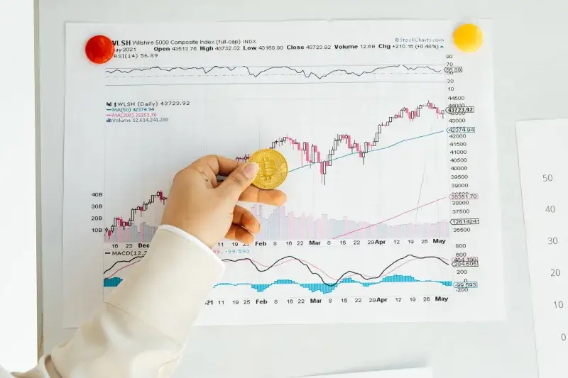 A hand holding a Bitcoin coin in front of a stock market chart, symbolizing analysis and finance.