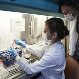 Aumentan varios cánceres antes de los 50 en tres países