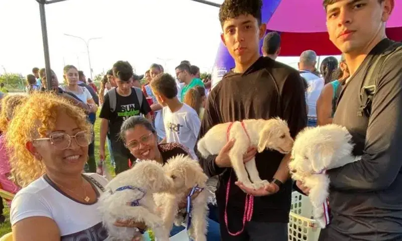 Vacunarán gratis a perros y gatos contra la rabia en Maracaibo