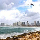 A scenic view of Tel Aviv's modern skyline and rocky coastline with a bird flying overhead.