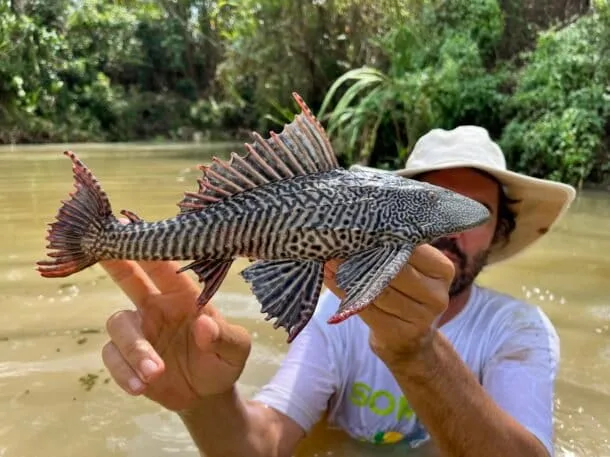 La primera colección de peces de Madre de Dios revela el daño minero