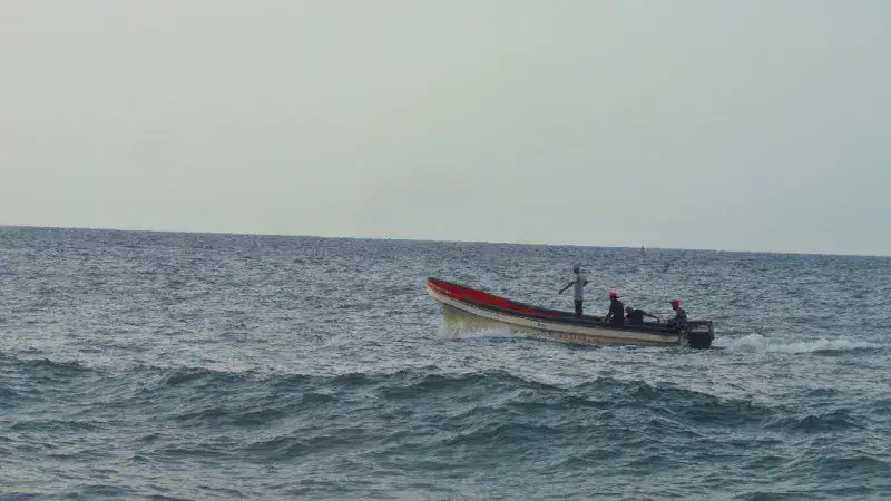Activan búsqueda de tres pescadores desaparecidos en Choroní, Aragua