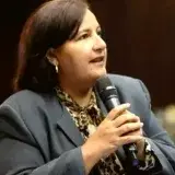 Figuera atribuye al exilio impulso clave para el 28J