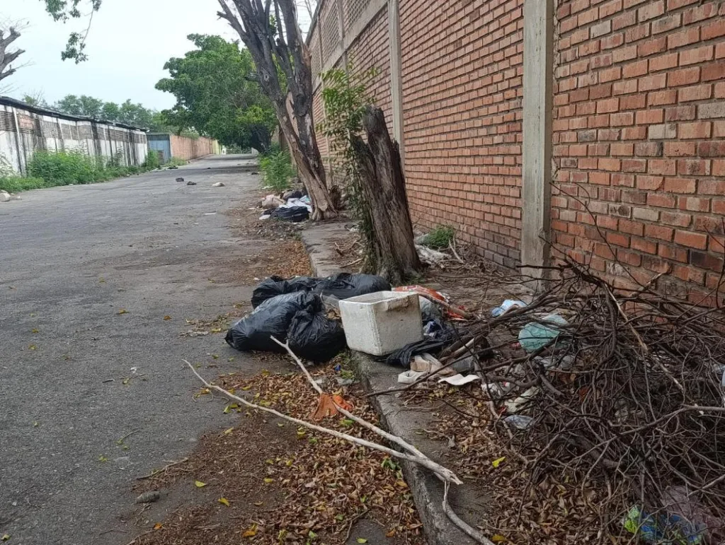 Ureña: maleza, basura y drenajes colapsados en la zona industrial