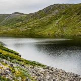 COP17 aprueba en Ereván nuevos pasos para salvar la biodiversidad