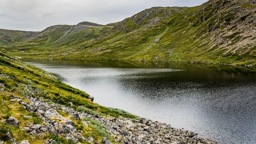 COP17 aprueba en Ereván nuevos pasos para salvar la biodiversidad