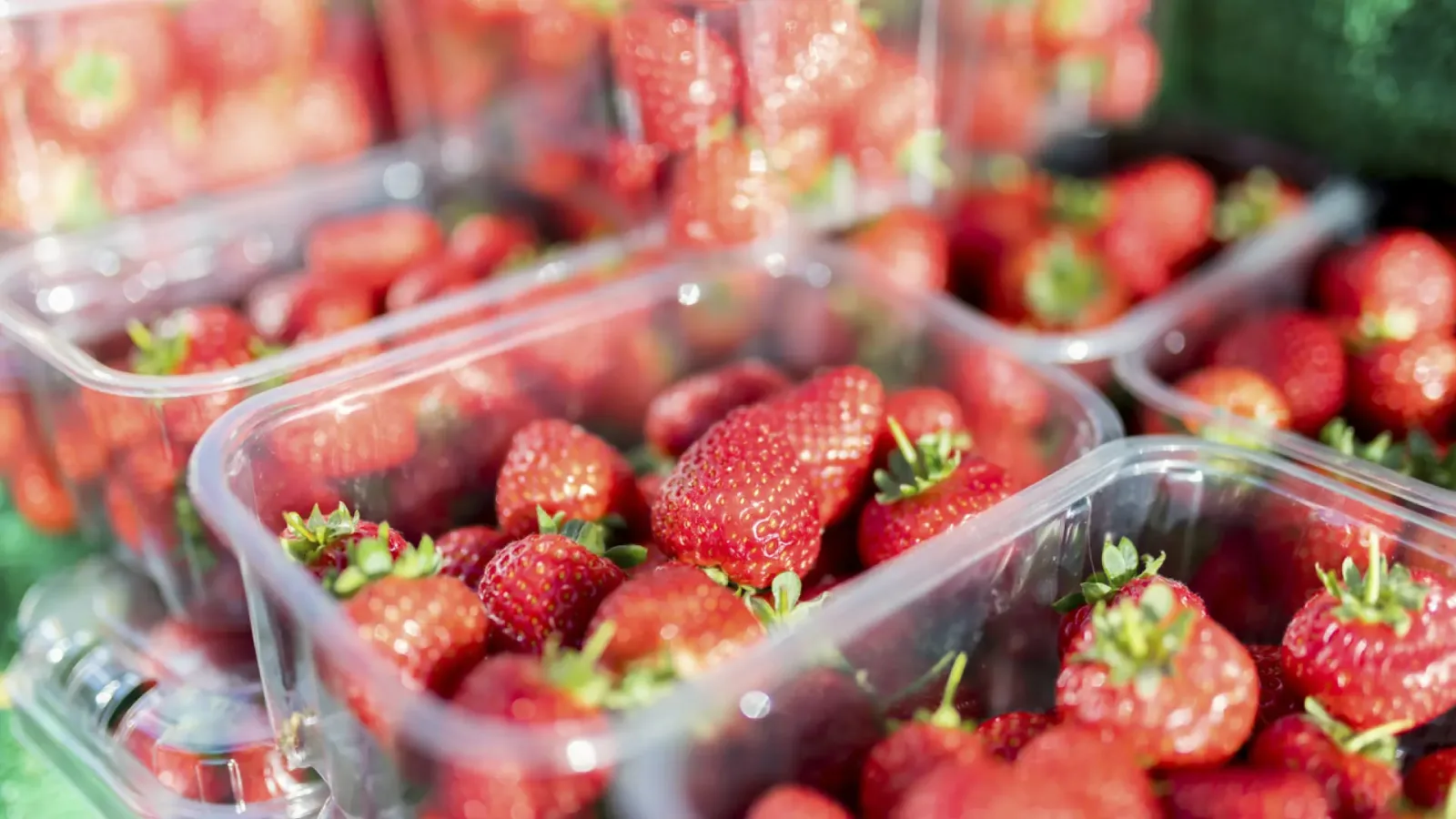 Fresas españolas tienen menos pesticidas que Europa