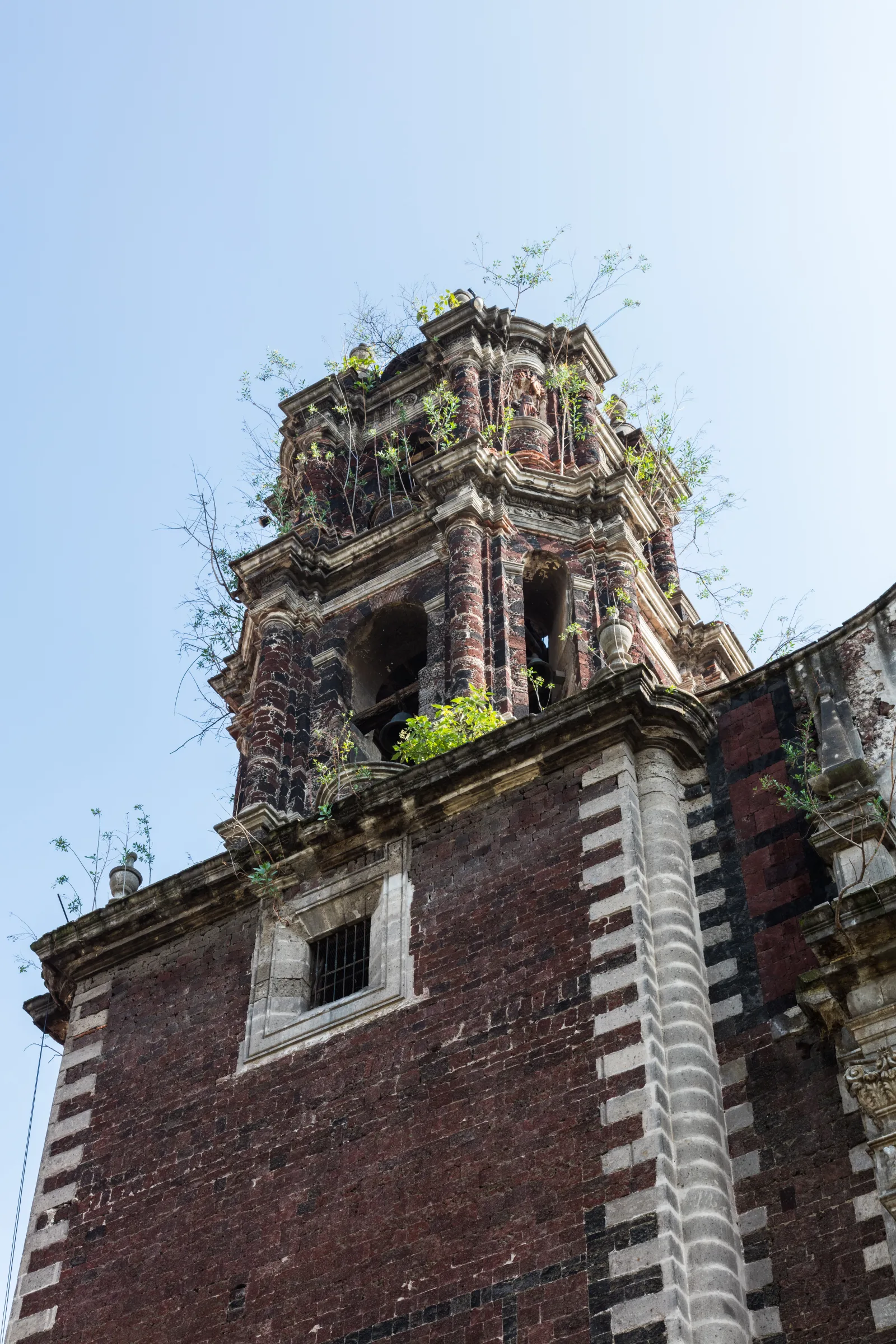 Parroquia de San Fernando, Ciudad de México, México, 2015 07 20, DD 03