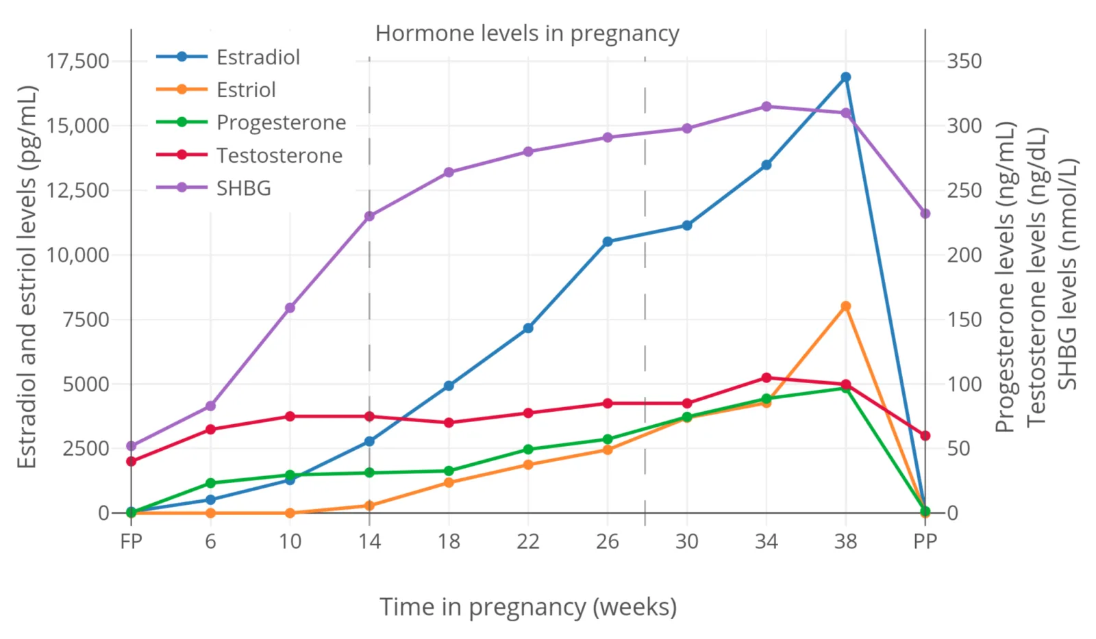 Estrógenos, progesterona y testosterona: lo que hacen en tu cuerpo cada día