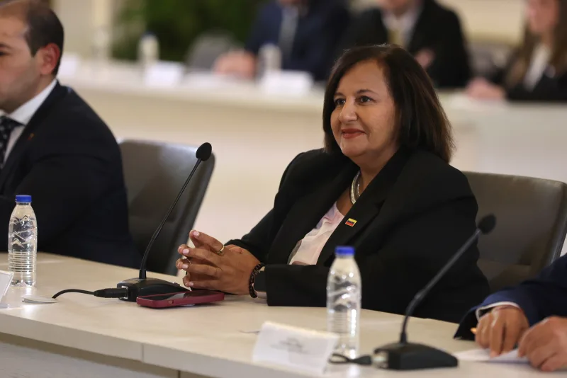 Dinorah Figuera fija noviembre para renovar el TSJ