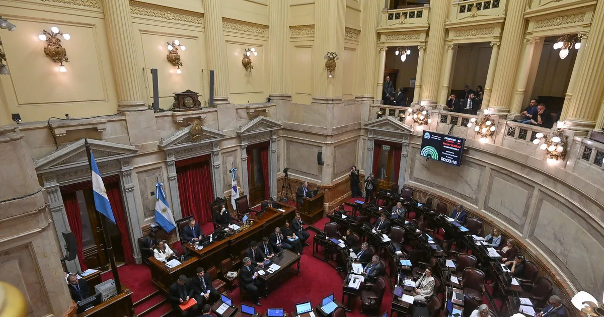 El Senado dio media sanción a la reforma de salud mental