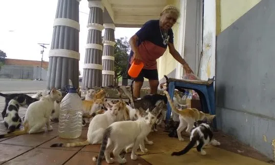 Muere en Maracaibo Ana Margarita Román, cuidadora de gatos
