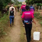 Maracaibo activa vacunación contra la fiebre aftosa para 4.700 bovinos