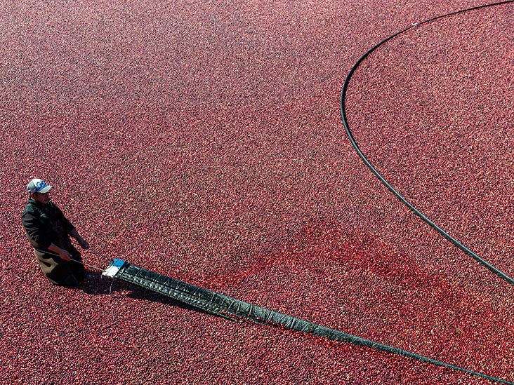 ¿Es el jugo de arándano realmente efectivo contra las infecciones del tracto urinario?