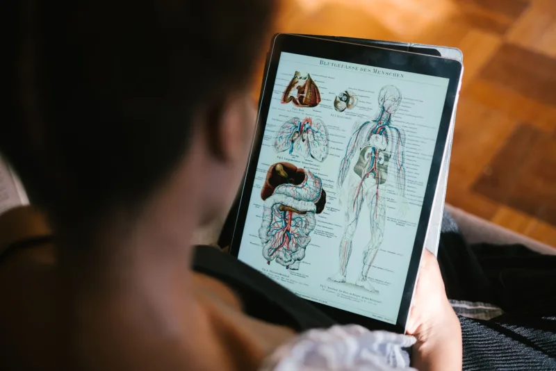 Una mujer estudia diagramas de anatomía en una tableta en el interior, concentrada en el material educativo.