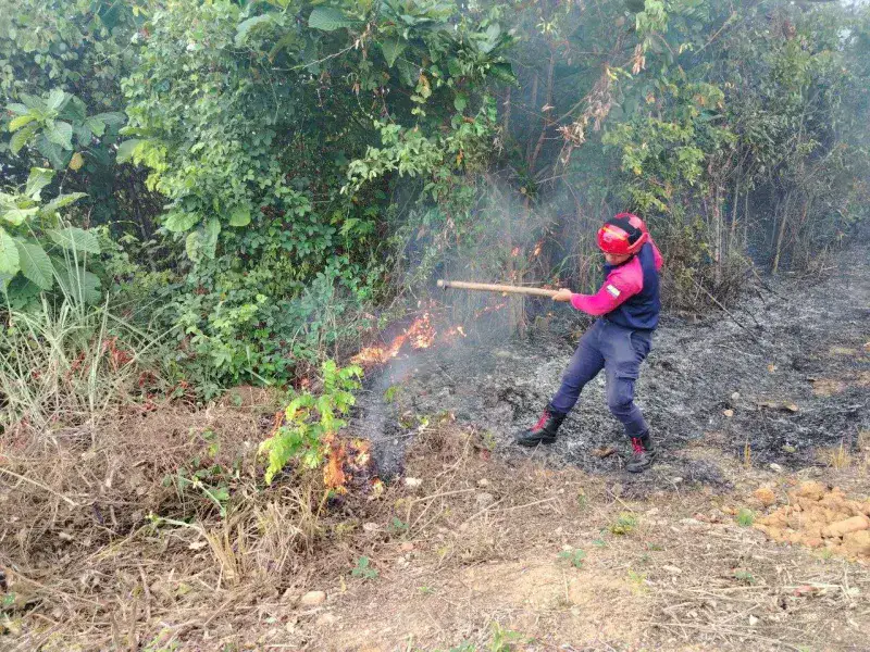 Bomberos controlan incendios forestales y de desechos en varios municipios de Trujillo