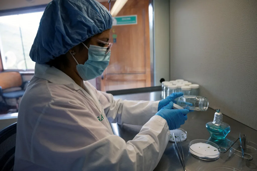 Privados avanzan en hospitales públicos por falta de insumos