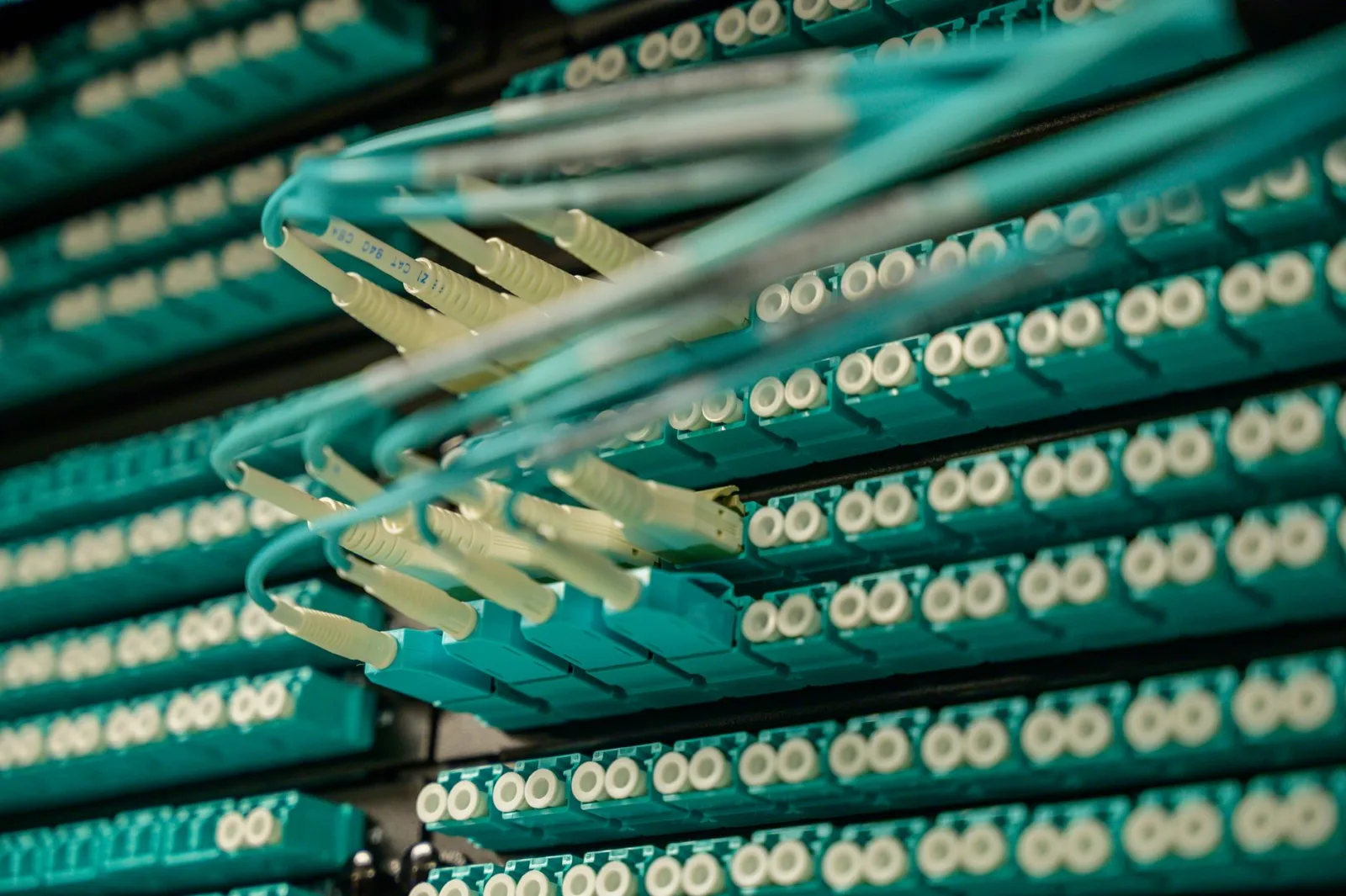 Vista detallada de cables de fibra óptica conectados a un rack de servidores, que muestra tecnología moderna.