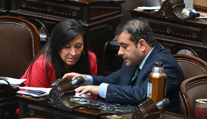 Diputados argentinos blindaron la ley de discapacidad con 237 votos