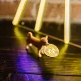 NIGHT se hunde 84% y su liquidez se reduce al mínimo