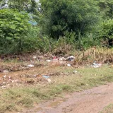 Vecinos de Machiques denuncian brote de dengue y penurias