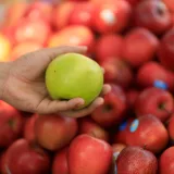 Primer plano de una mano sosteniendo una manzana verde rodeada de manzanas rojas en un mercado.