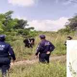 Hallan muerto a niño de 10 años en Miranda tras un secuestro