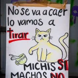 Illustrated protest sign with cat advocating feminism. Bold, artistic design in urban setting.