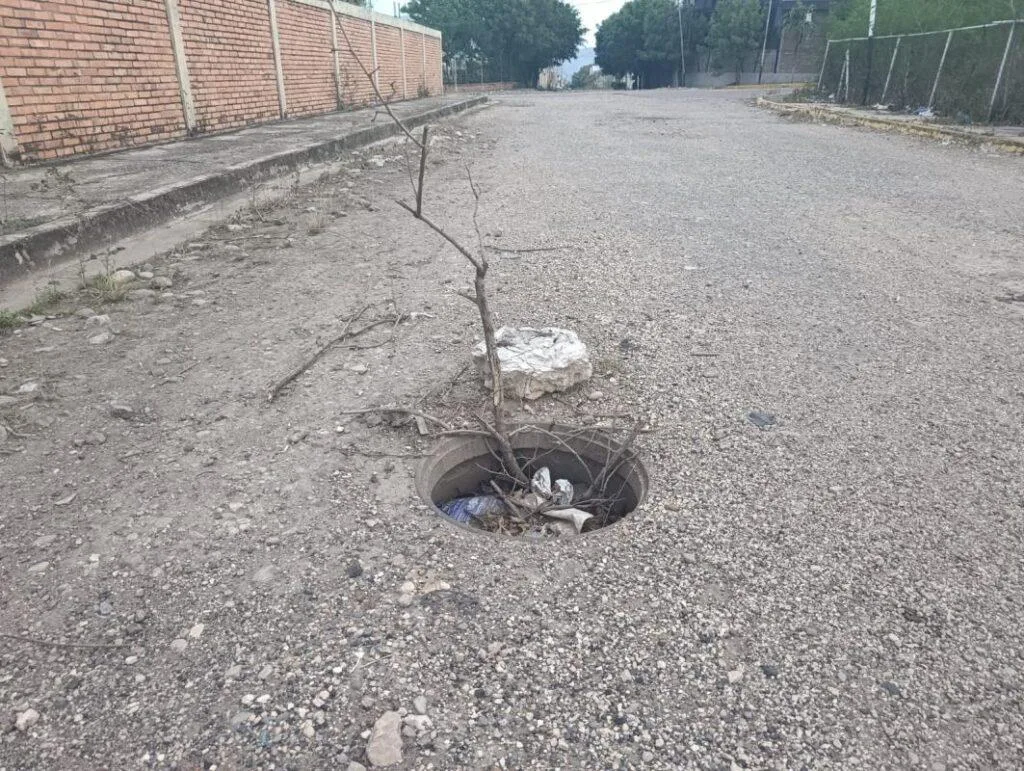 Ureña: maleza, basura y drenajes colapsados en la zona industrial