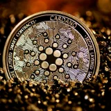 A silver Cardano (ADA) sticking out on a pile of black stones.