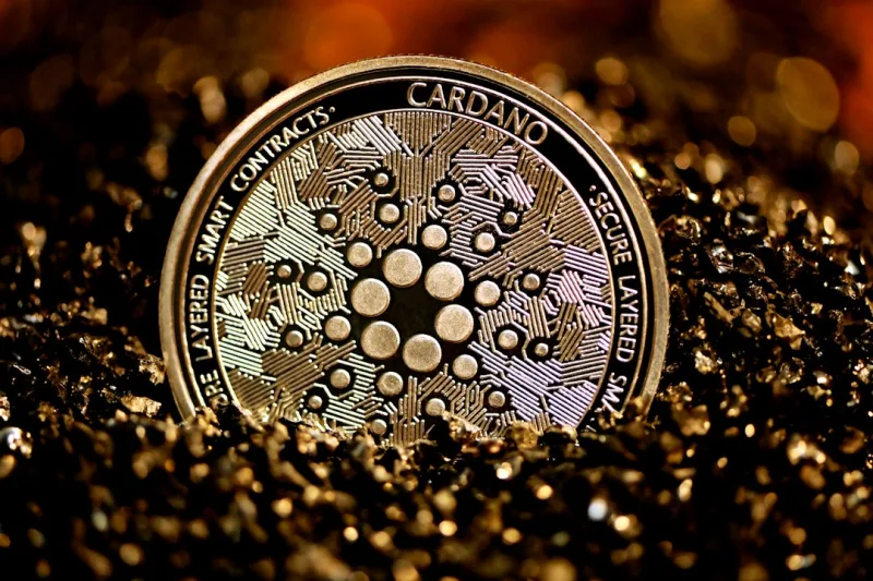 A silver Cardano (ADA) sticking out on a pile of black stones.