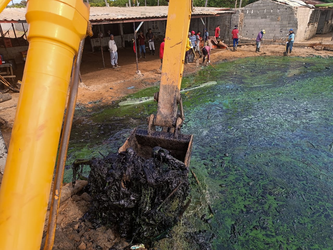 Van 28 mil toneladas de desechos recogidos en el Lago de Maracaibo
