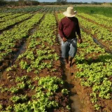Fedeagro pide derogar la ley agroalimentaria de 2008