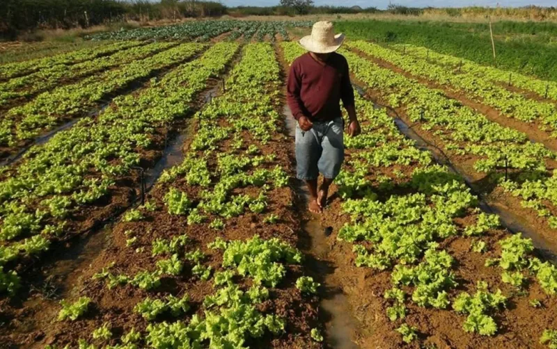 Fedeagro pide derogar la ley agroalimentaria de 2008