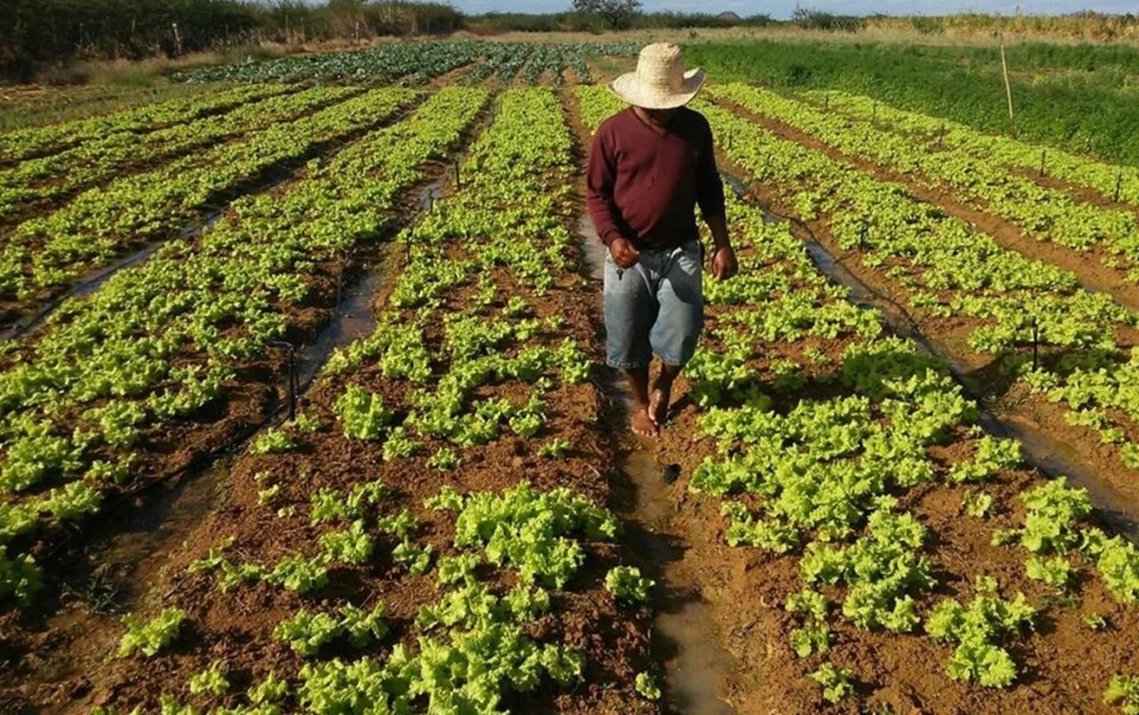 Fedeagro pide derogar la ley agroalimentaria de 2008