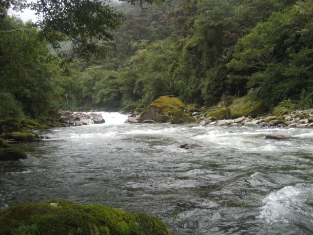 Seis países de Latinoamérica destinan menos del 1% a Ambiente