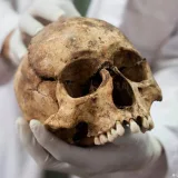 Un estudio en Abidos confirma sacrificios en la realeza egipcia