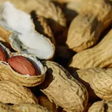 Producción de maní en Venezuela sube a 16.725 toneladas