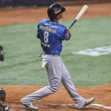 Tigres de Aragua superan 9-8 a Leones del Caracas