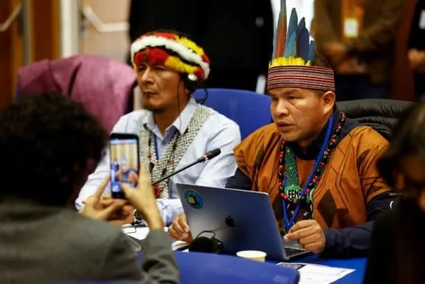 ONU abre negociaciones para un protocolo contra delitos ambientales