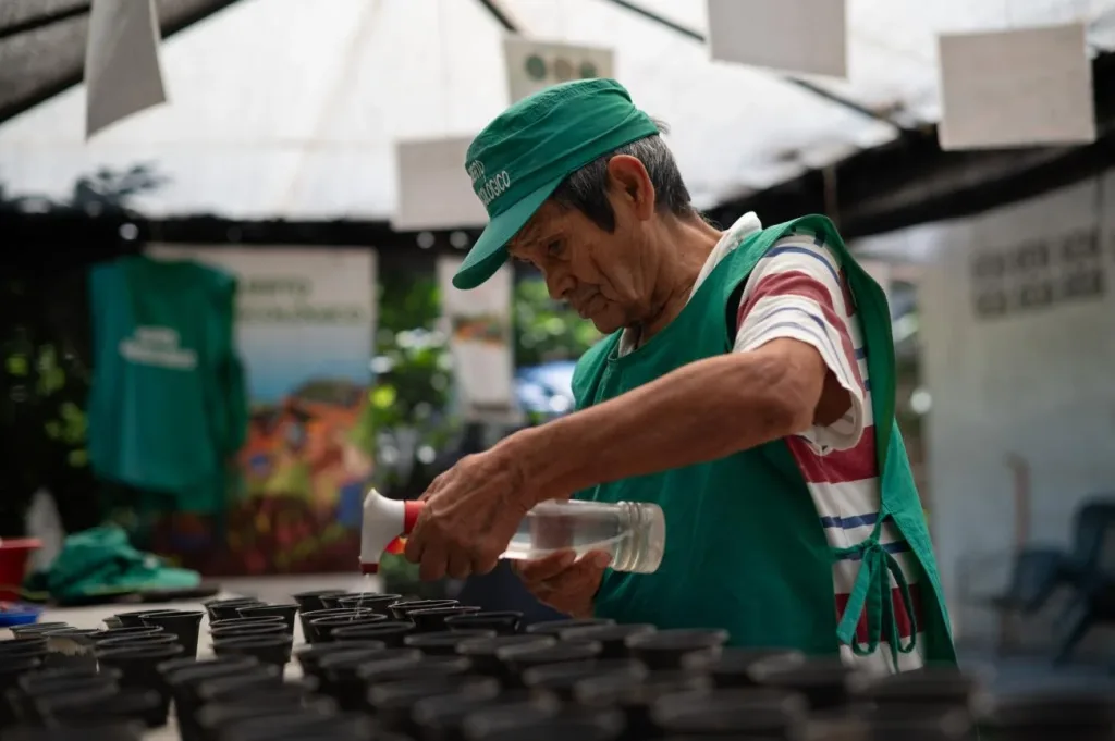 Adultos mayores sostienen el comercio informal en Venezuela