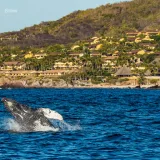 México reduce el presupuesto para proteger sus ecosistemas