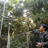 Pingers reducen 53% los enmallamientos de ballenas en Perú