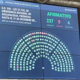 La Cámara baja aprobó la ley de discapacidad con 237 votos
