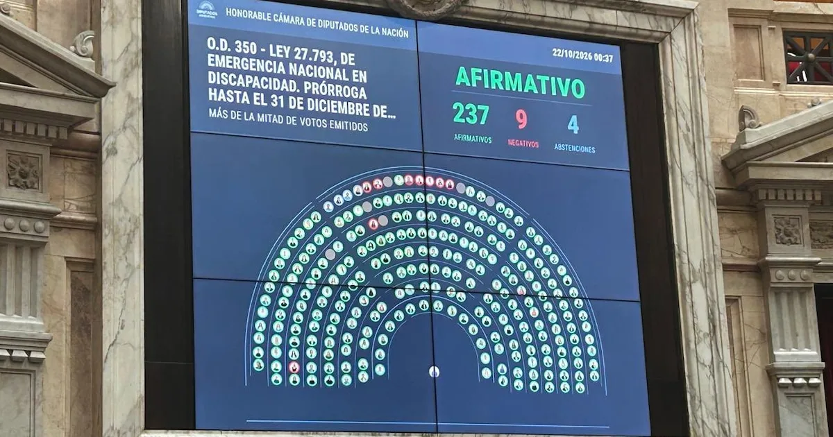La Cámara baja aprobó la ley de discapacidad con 237 votos