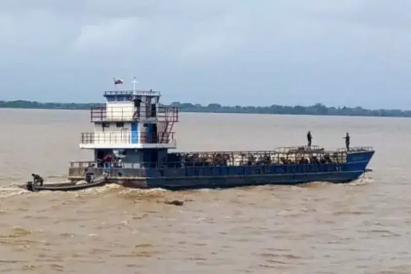 Ganaderos adelantan retiro de rebaños por rápida crecida del Orinoco