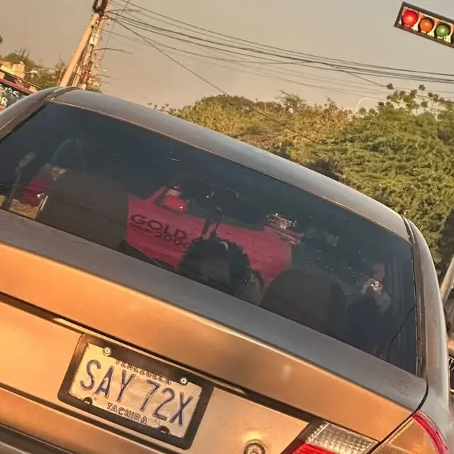 Publicación de Instagram de ProteccionistasdelEdoZulia